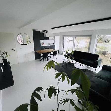 Moderne Wohnung Nahe Museum Sinsheim Buitenkant foto
