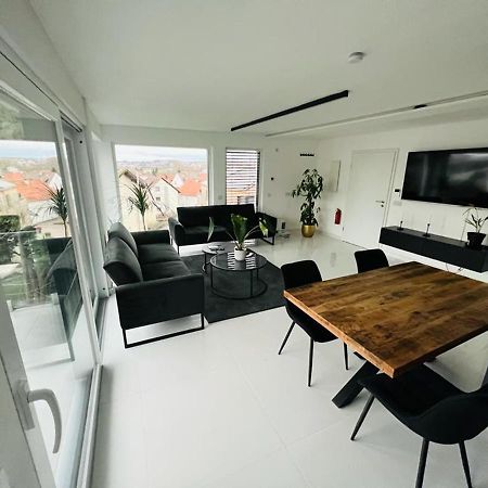 Moderne Wohnung Nahe Museum Sinsheim Buitenkant foto