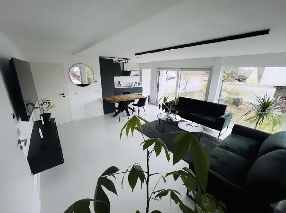 Moderne Wohnung Nahe Museum Sinsheim Buitenkant foto